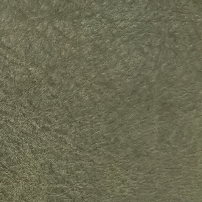 Distressed Colors - Lichen