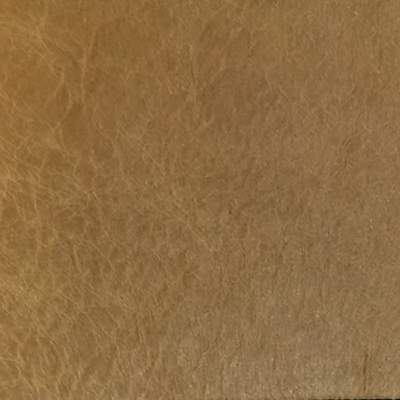 Distressed Colors - Biscotto