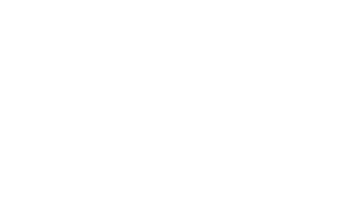 American Force Logo