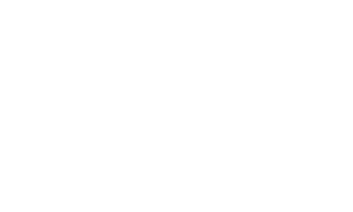 Audiovox Logo