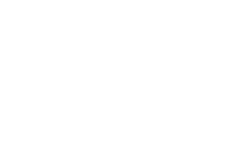 Husky Logo