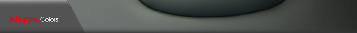 Nappa Colors - Leather Seats